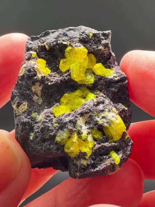 ELECTRIC YELLOW MAGIC FROM SOUTH AFRICA — 3 RARE BEAUTIES!