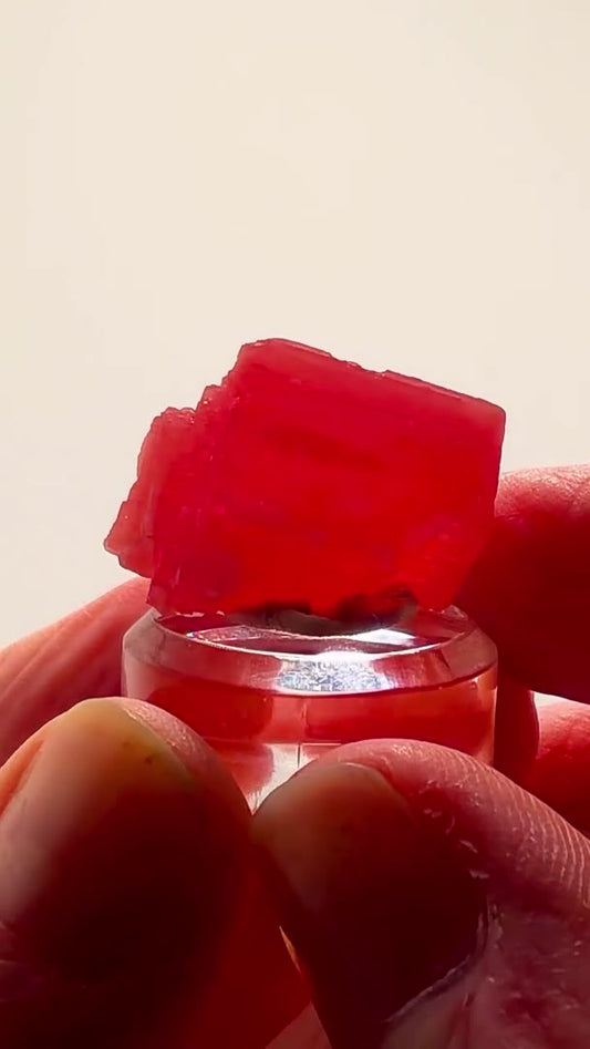 10.46 GRAMS OF SWEET HOME CHERRY RED PERFECTION!