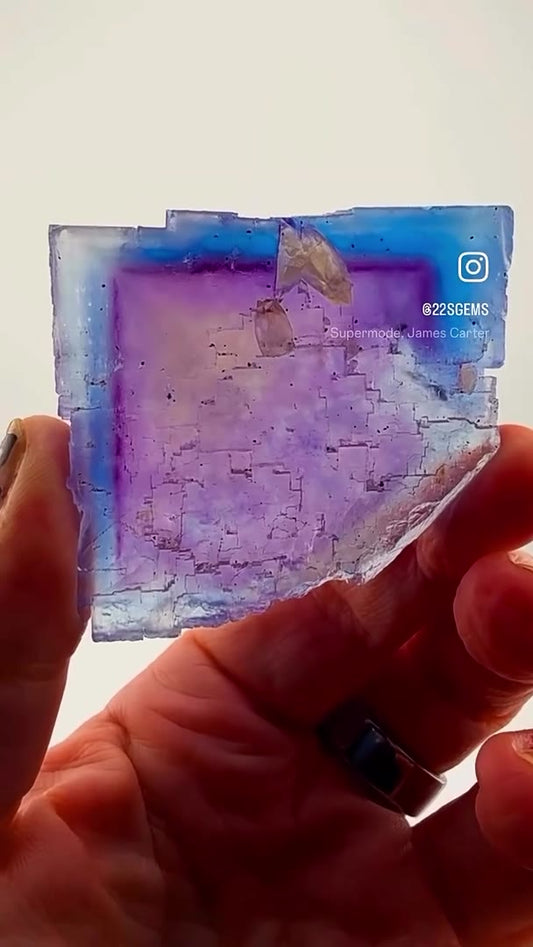 ILLINOIS BLURPLE PERFECTION… MINERVA NO. 1 MAGIC!