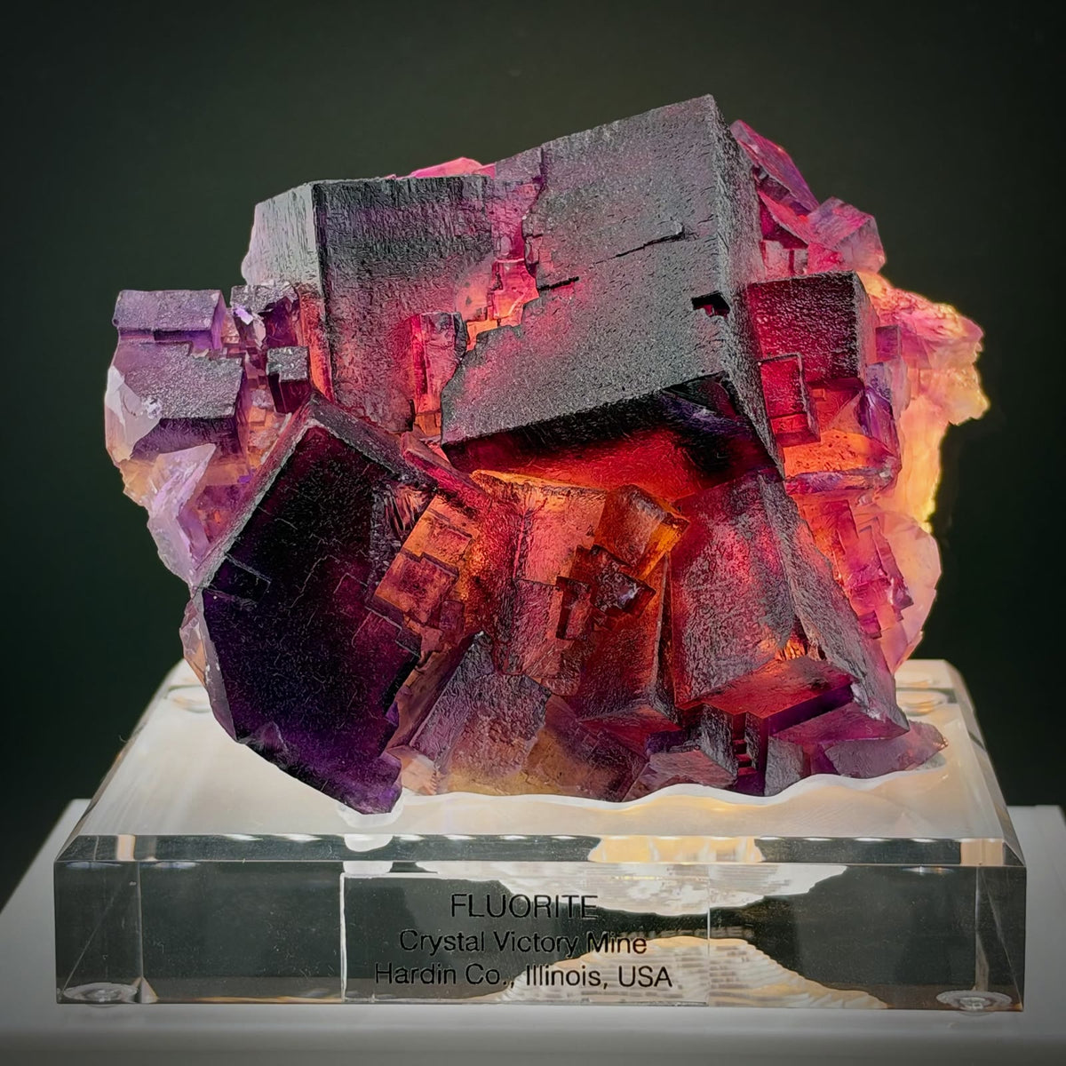 ONE FLUORITE. FOUR DIFFERENT BACKLIGHTING EFFECTS. ABSOLUTE COLOR INSANITY!