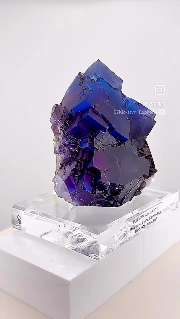 MINERVA NO. 1 MAGIC… ELECTRIC BLUE MEETS ROYAL PURPLE!