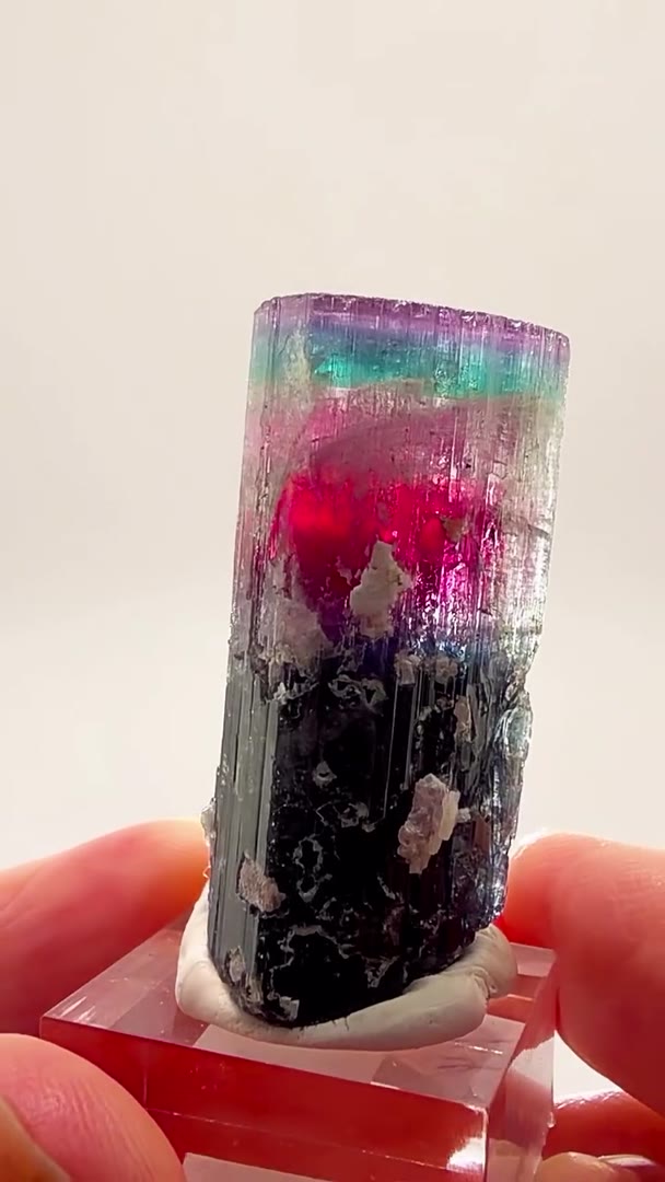 PAPROK RAINBOW MAGIC… 26.5 GRAMS OF PURE INSANITY!