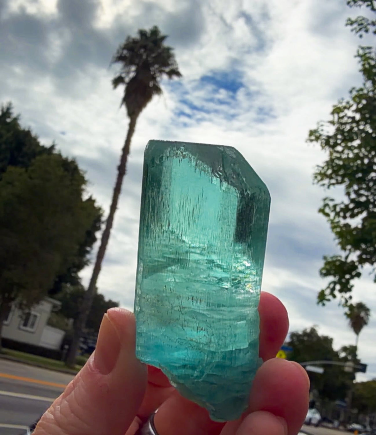 93.88 GRAMS OF PURE OCEAN MAGIC