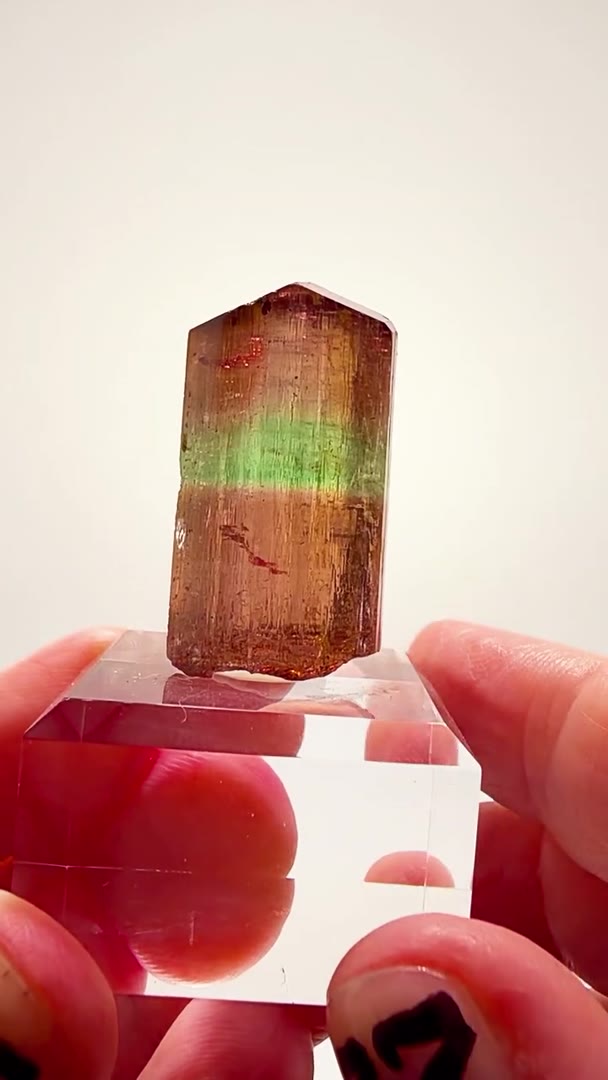 NEPAL TOURMALINE ROYALTY… A RARE TREASURE FROM 1972!