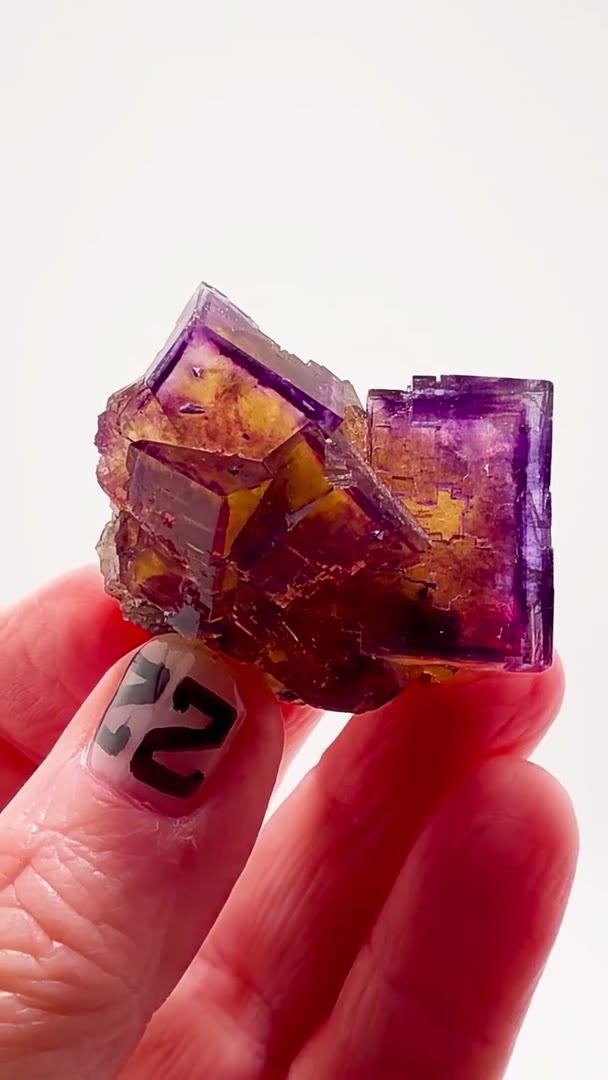 DENTON MINE MADNESS… AN ABSOLUTE EXPLOSION OF COLOR!