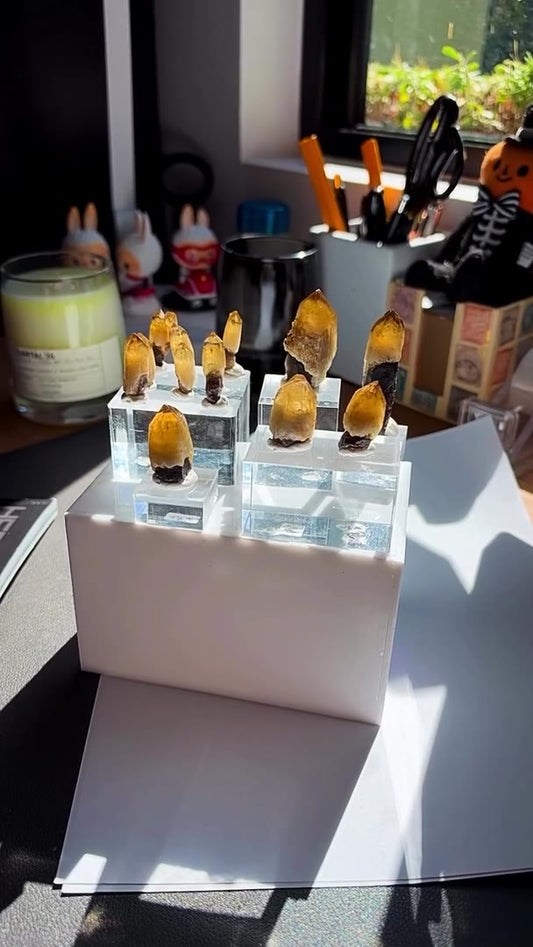 MOONLIGHT POCKET MAGIC — A WHOLE LINEUP OF AUSTRALIAN SMOKY CITRINE STUNNERS!