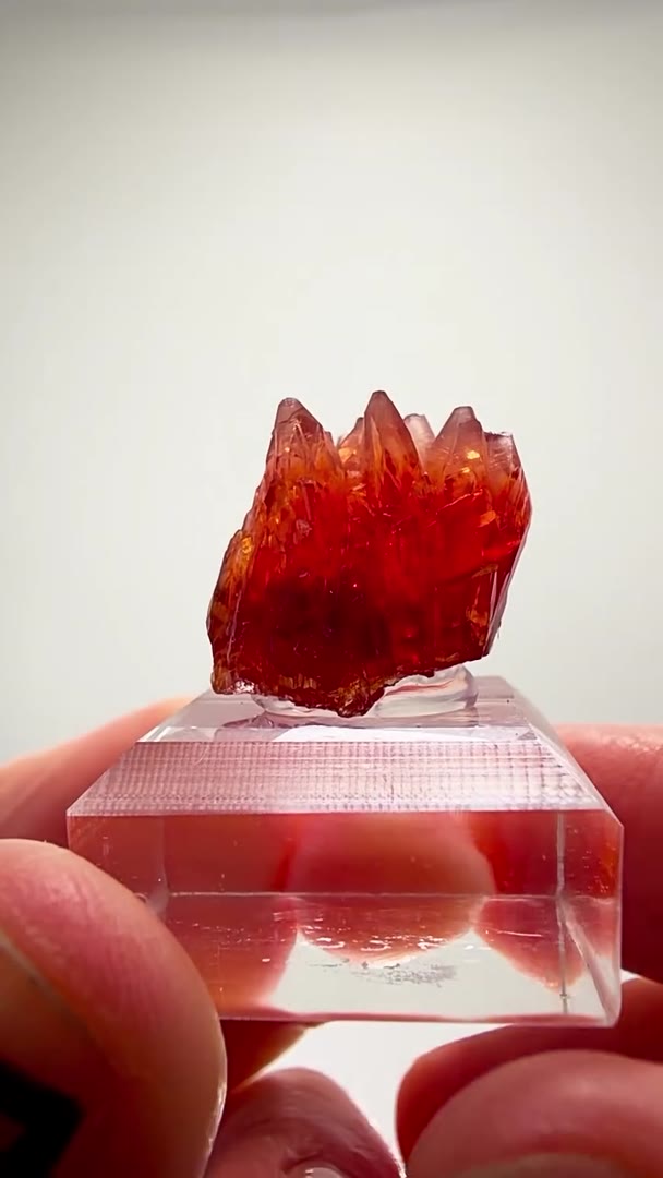 STRAIGHT-UP RHODOCHROSITE GEM BOMB… EX DESMOND SACCO COLLECTION!
