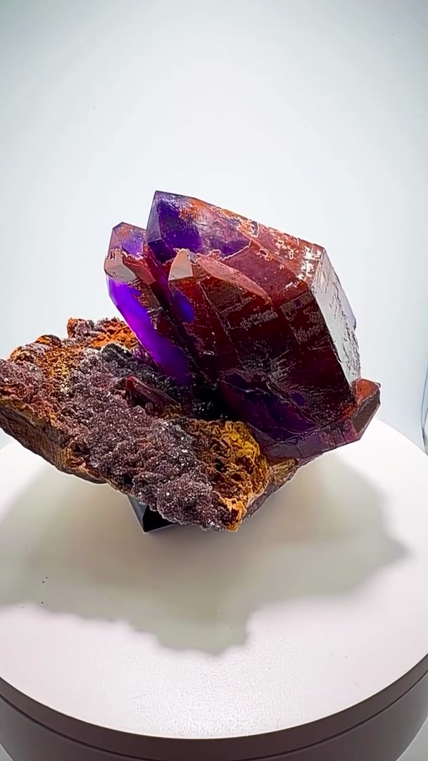 DEEP PURPLE INSANITY FROM NAMIBIA… AN ABSOLUTE MONSTER!