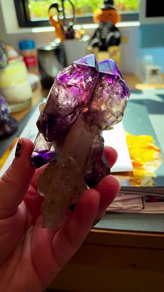 CHIBUKU SCEPTER INSANITY… STRAIGHT FROM ZIMBABWE!