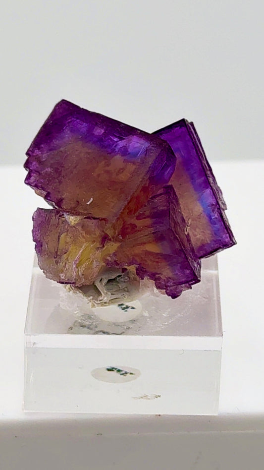 Annabel Lee Mine Mini Stunner