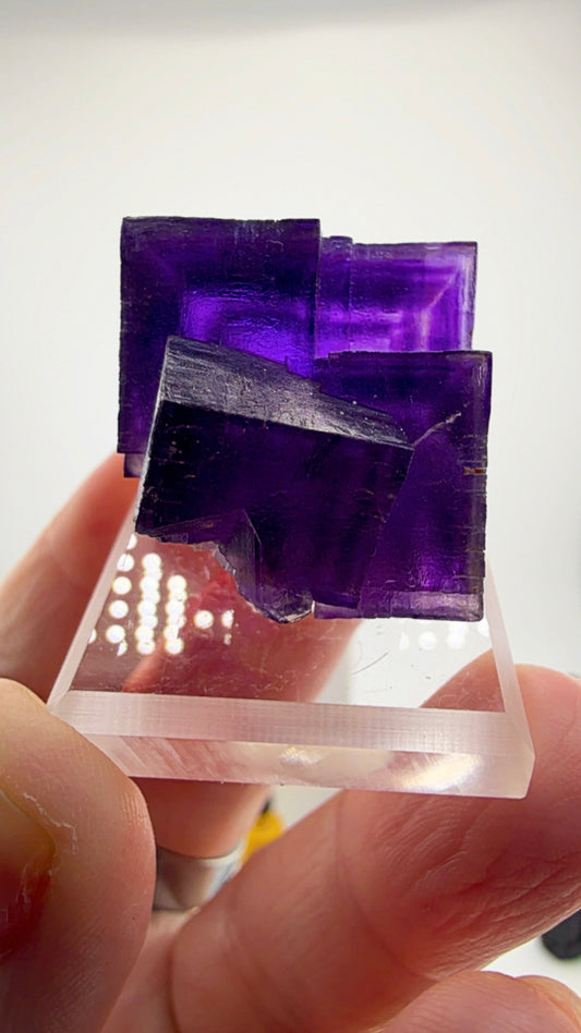 Miniature fluorite from Hastie's Quarry