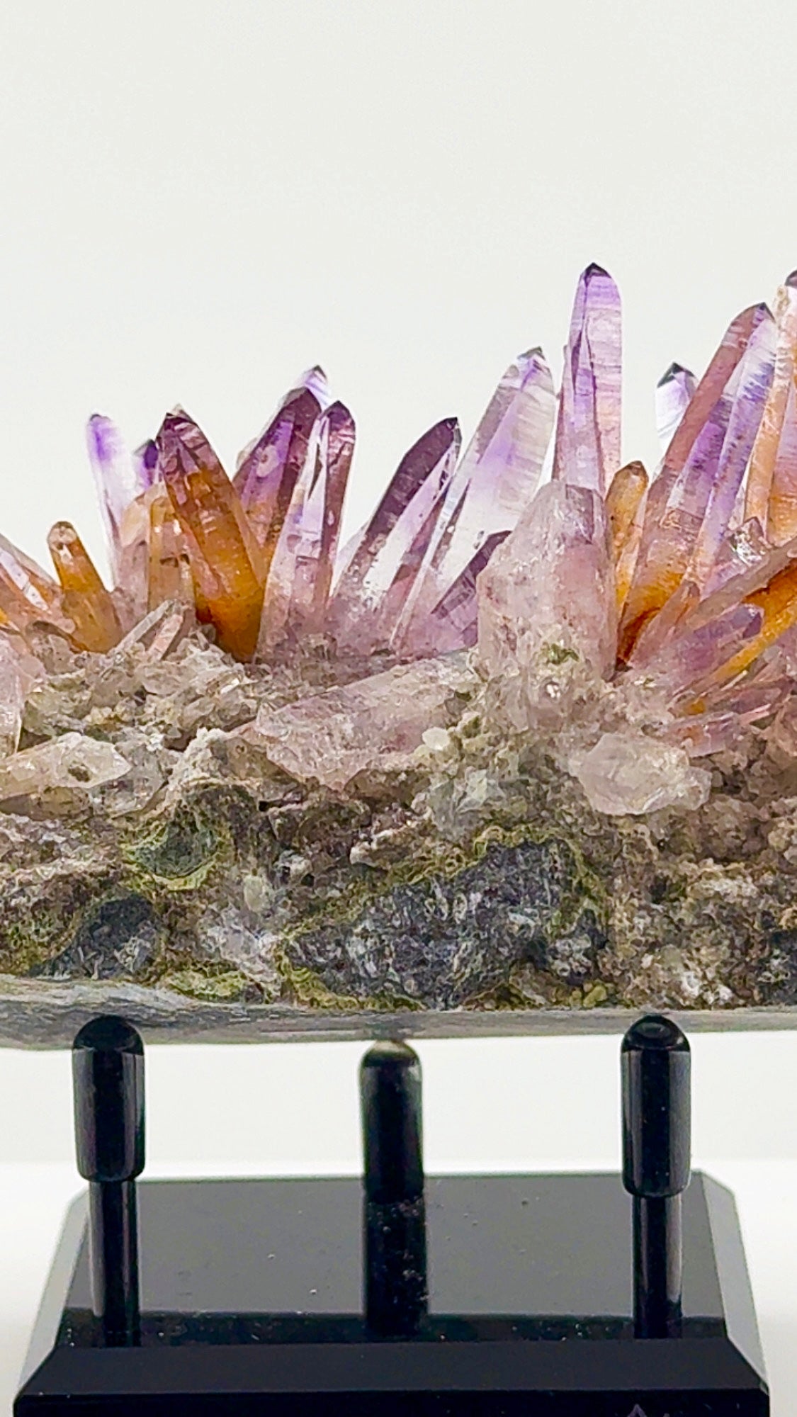 Veracruz amethyst has a personality all its own.