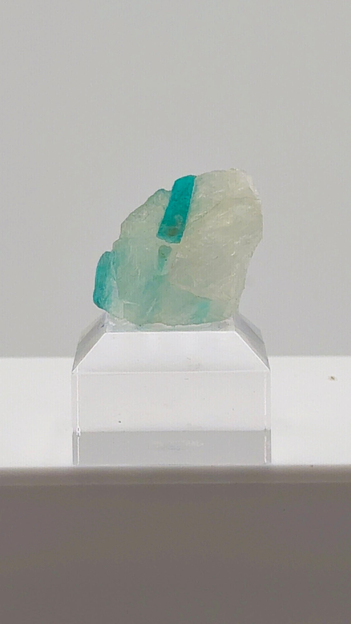 That Blue Paraiba Tourmaline in Quartz