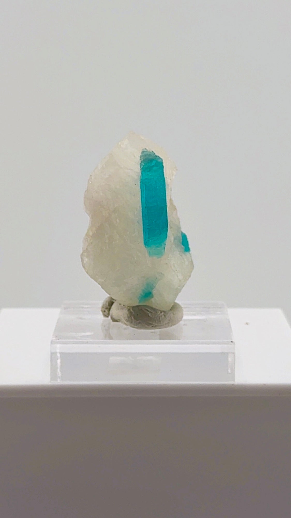 Paraiba Tourmaline in Quartz
