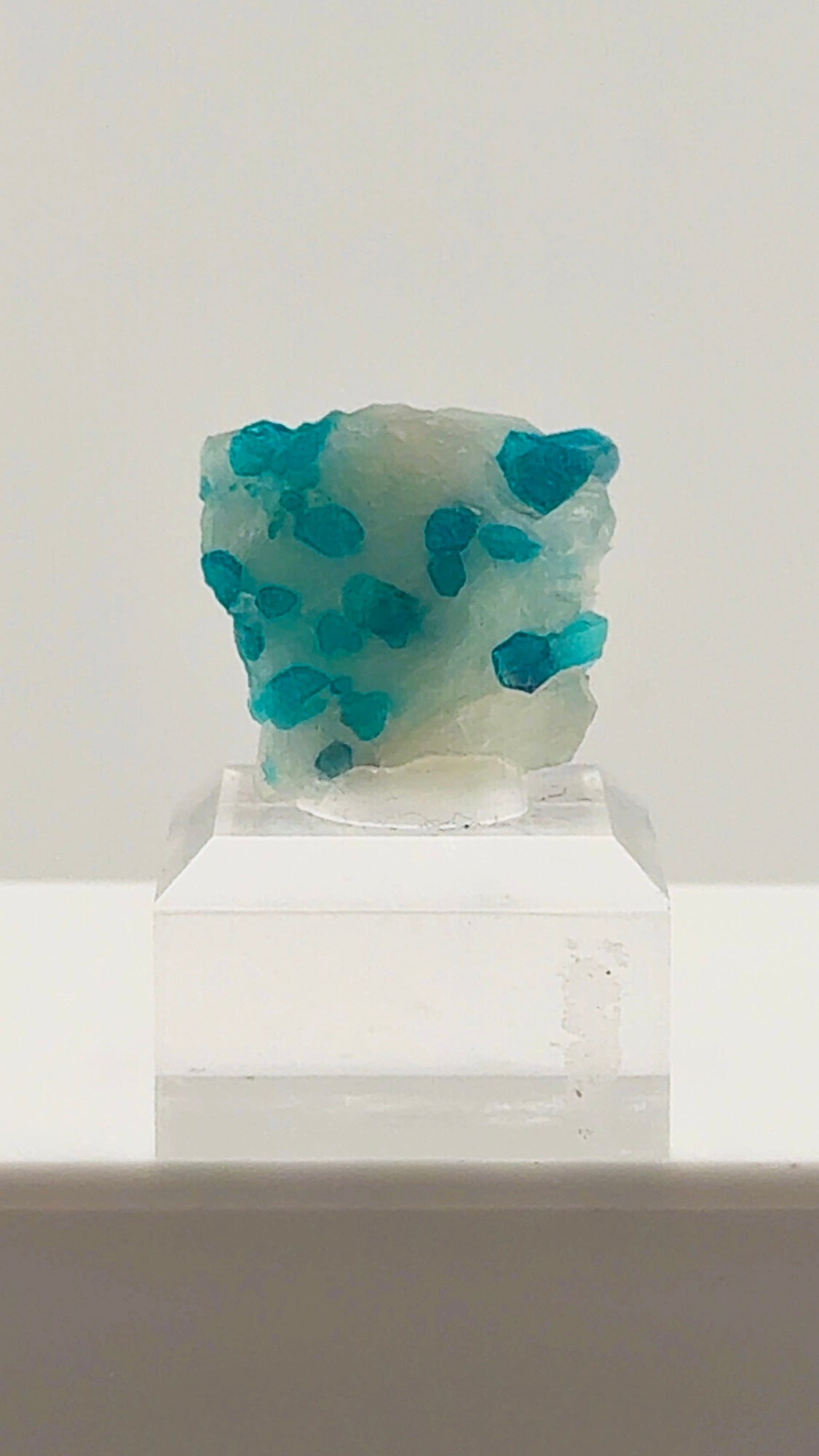 Beautiful Paraiba Tourmaline in Quartz from Brazil