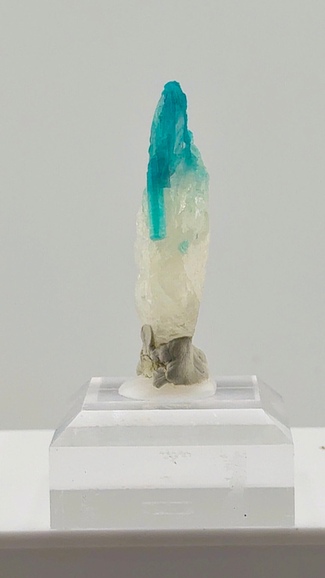 Paraiba Tourmaline in Quartz from Brazil