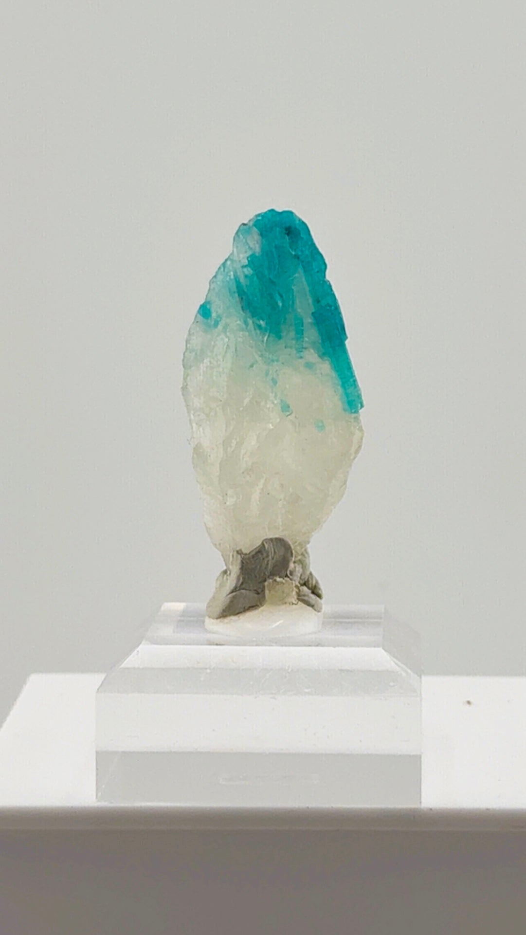 Paraiba Tourmaline in Quartz from Brazil