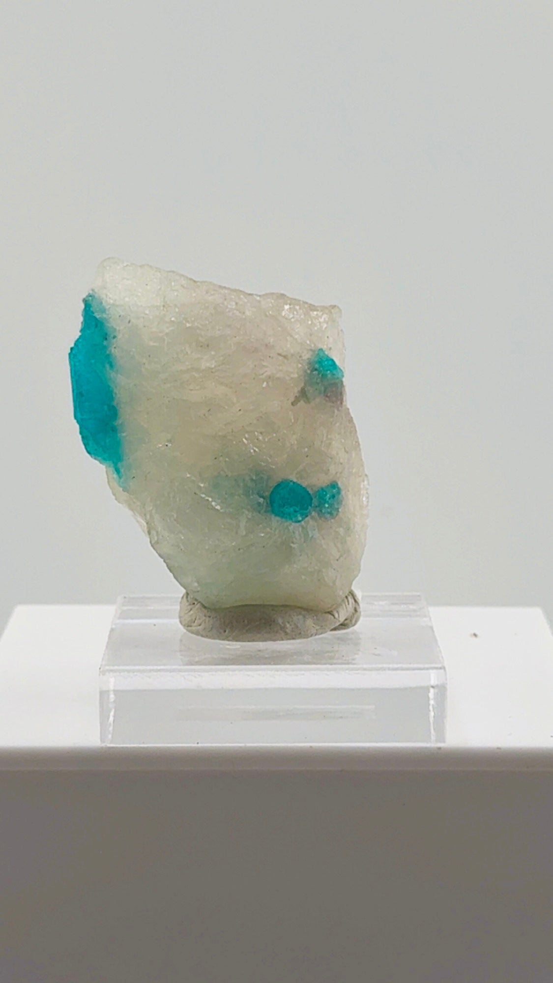 Paraiba Tourmaline in Quartz