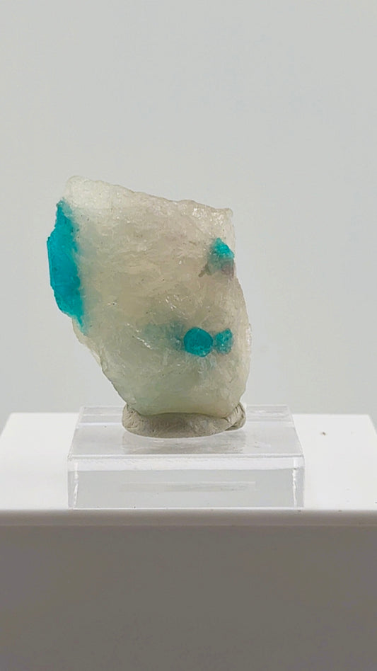 Paraiba Tourmaline in Quartz