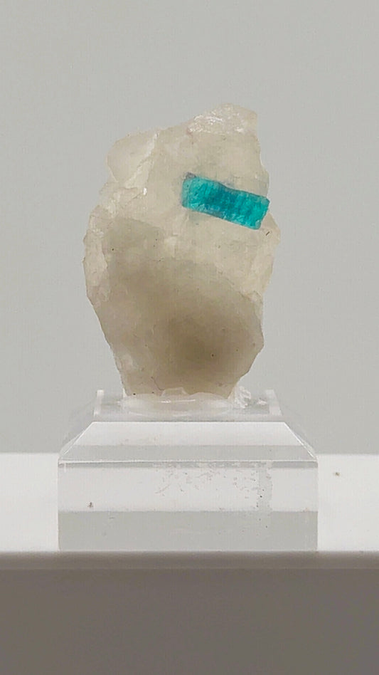 Beautiful Paraiba Blue Tourmaline in Quartz