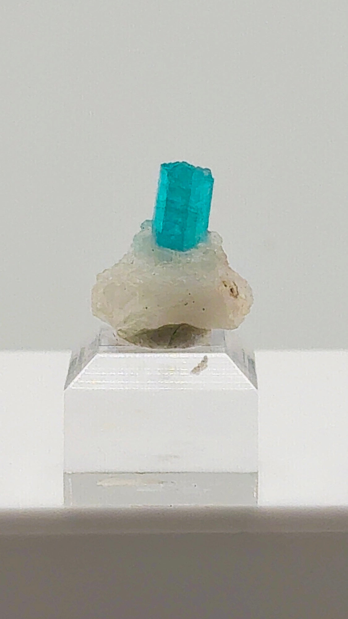 Gemmy Brazilian Paraiba Tourmaline in Quartz