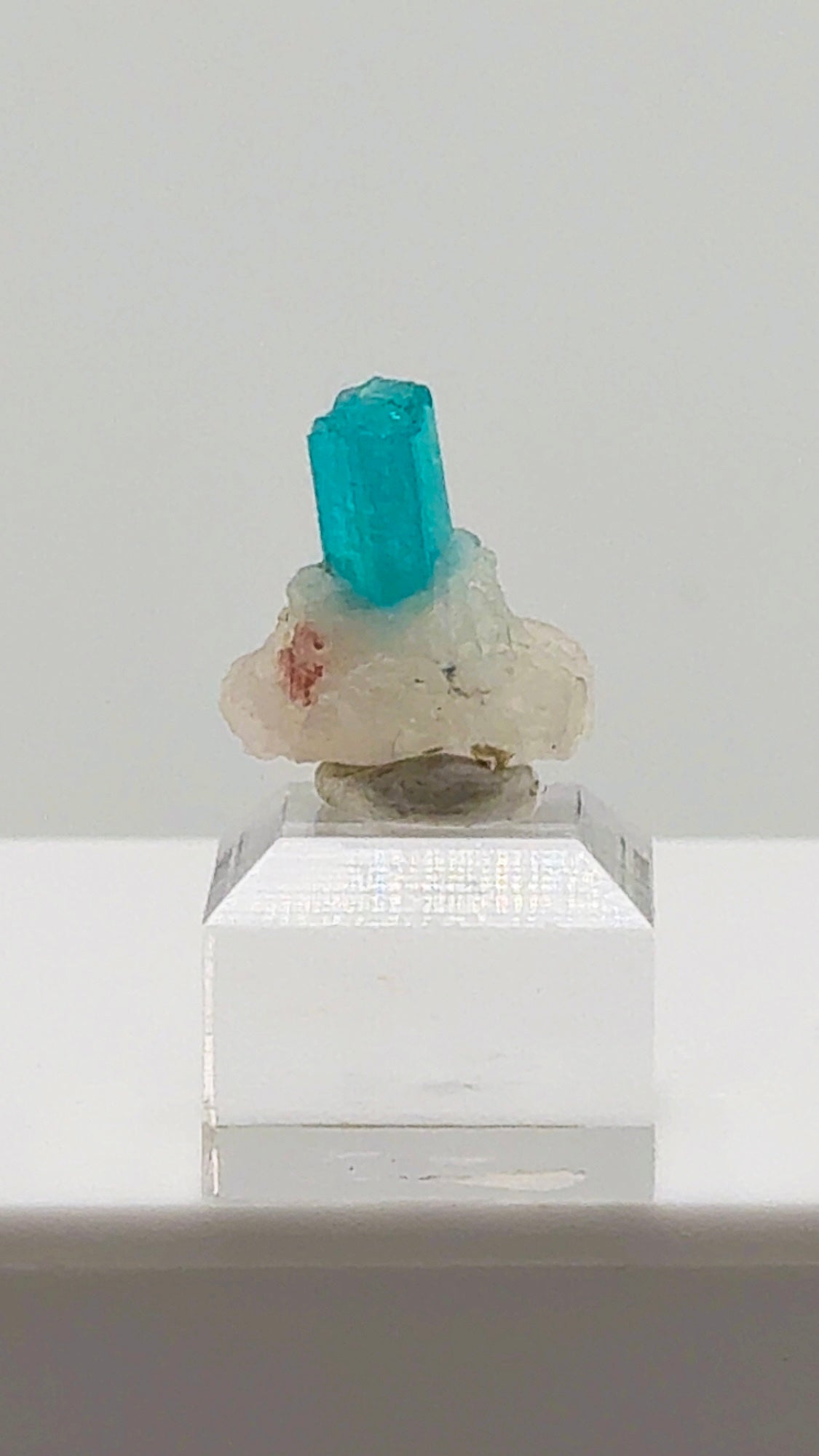 Gemmy Brazilian Paraiba Tourmaline in Quartz