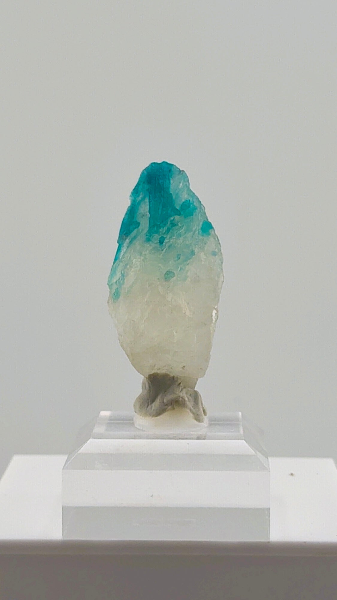 Paraiba Tourmaline in Quartz from Brazil
