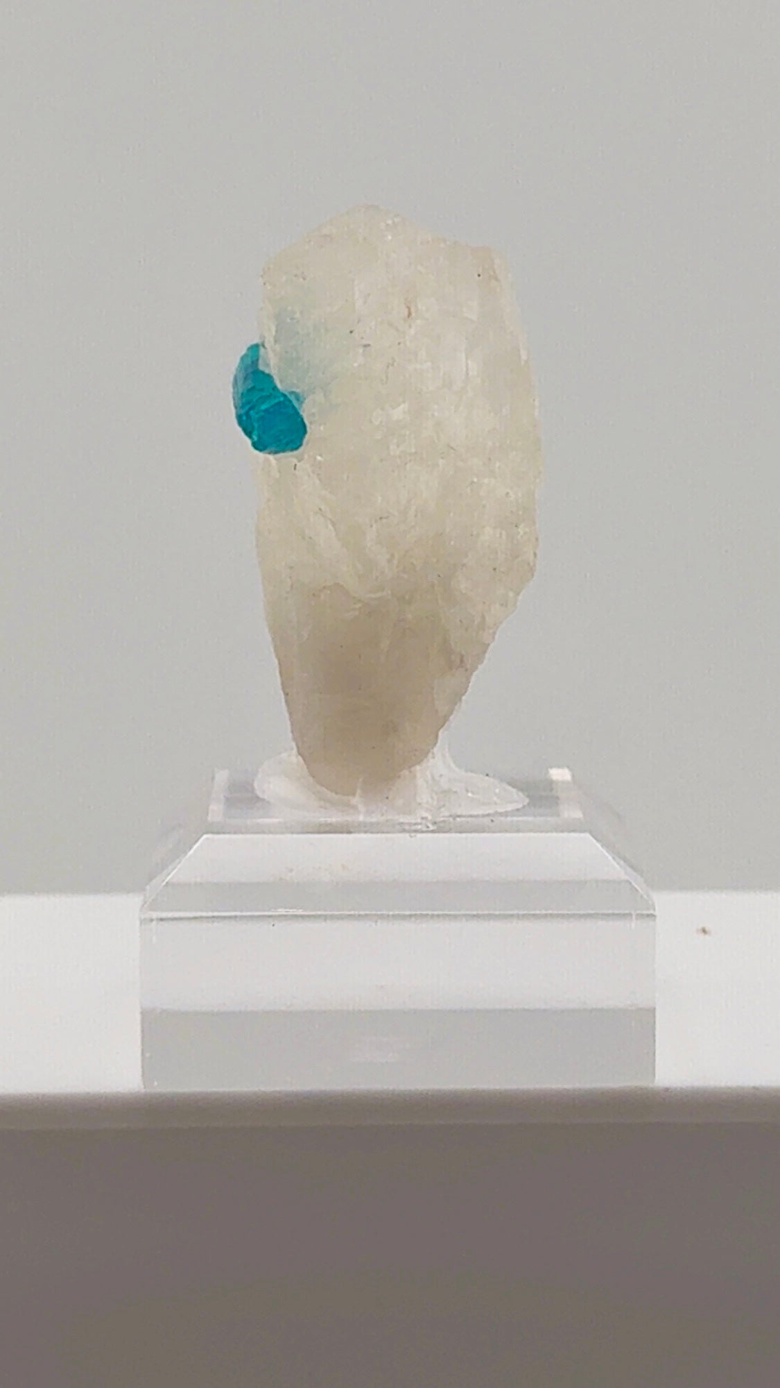 Beautiful Paraiba Blue Tourmaline in Quartz