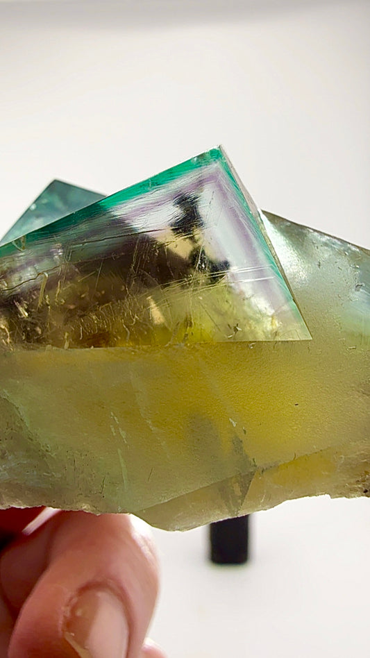 Bull Vein English fluorite at its absolute finest