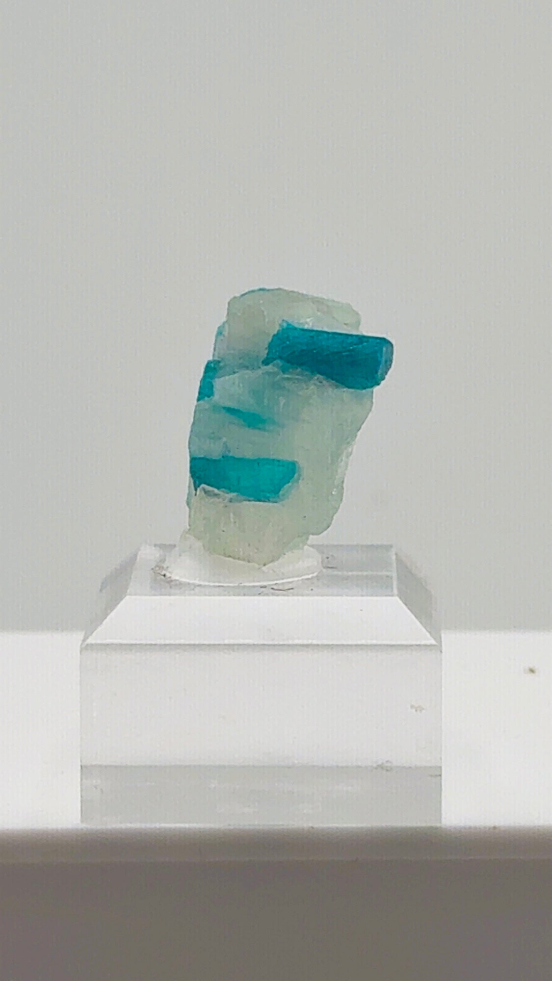 Beautiful Paraiba Tourmaline in Quartz from Brazil