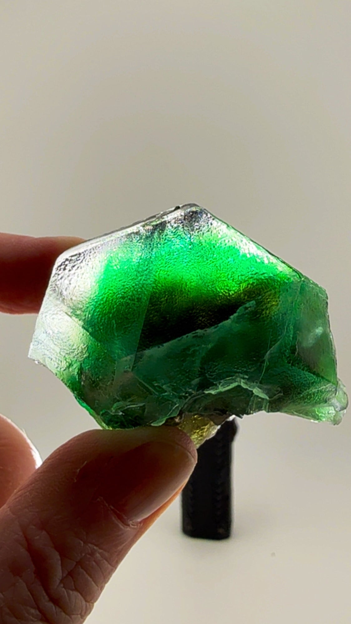 Super cool Erongo Fluorite