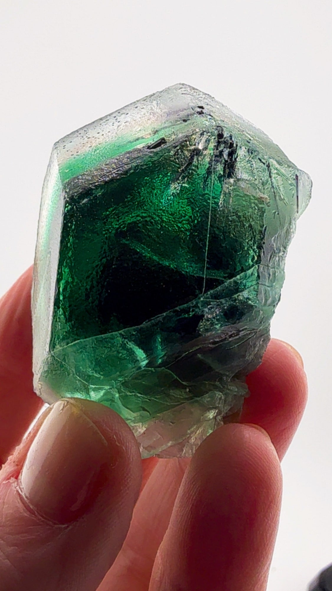 Super cool Erongo Fluorite