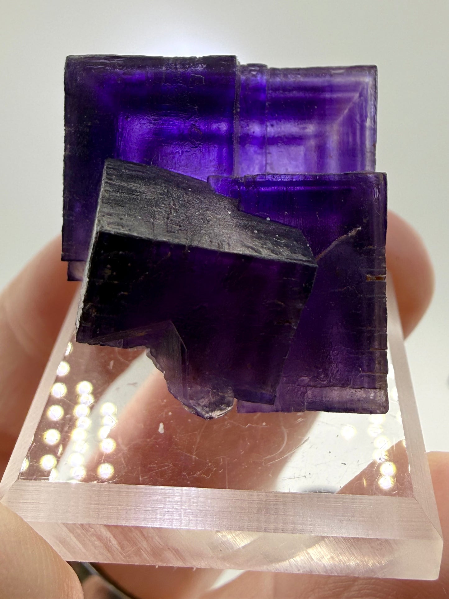 Miniature fluorite from Hastie's Quarry