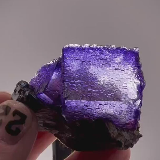 Stunning Elmwood Mine Fluorite with Sphalerite