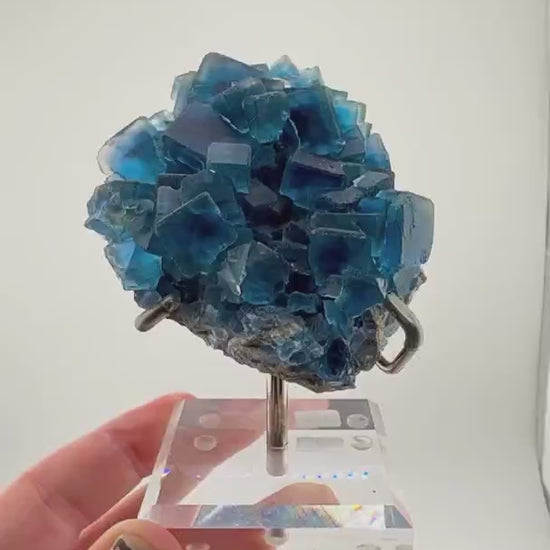 BLUE ZONE CARPET
