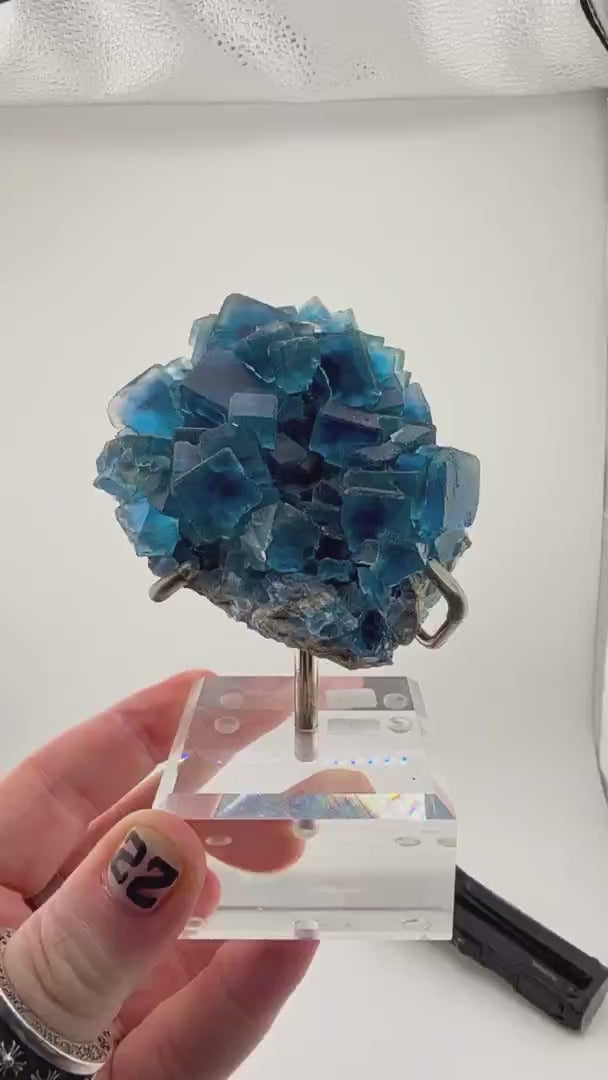 BLUE ZONE CARPET
