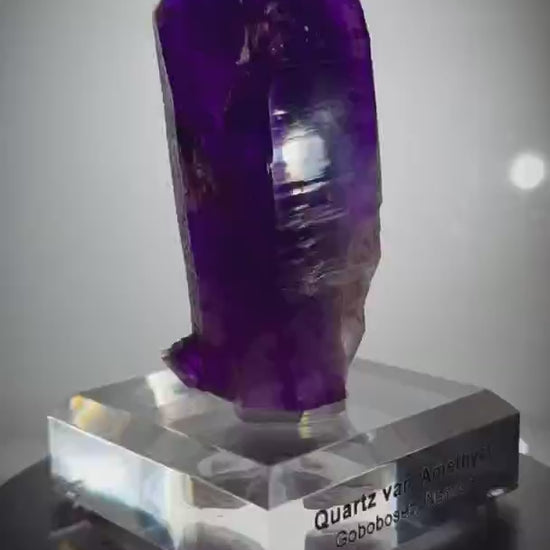 Mind. Blown.  Introducing the Absolute Juice  Bomb Blurple Buks Claim,…