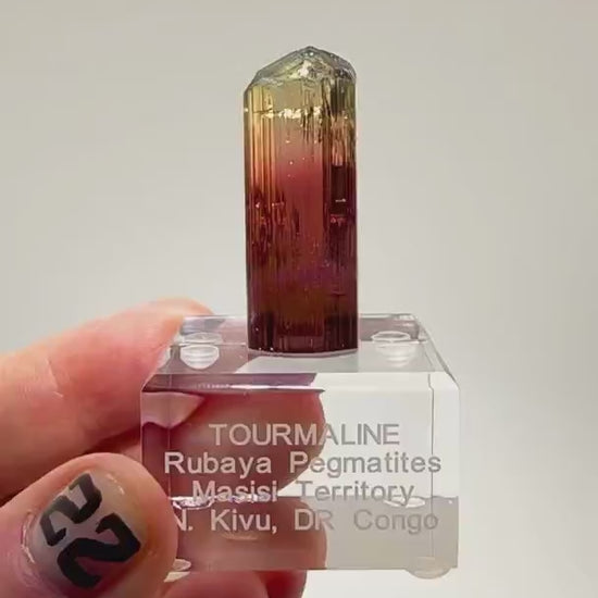 MULTICOLOR GEM BEAUTY