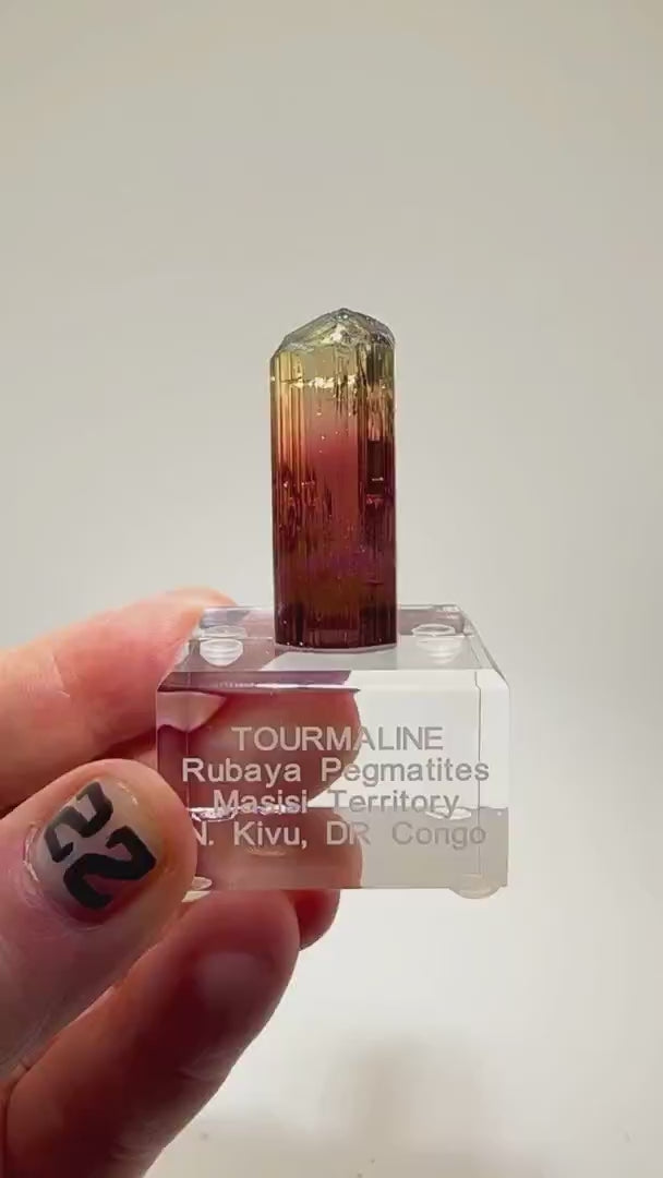 MULTICOLOR GEM BEAUTY