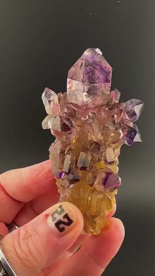 Museum-Grade Masterpiece