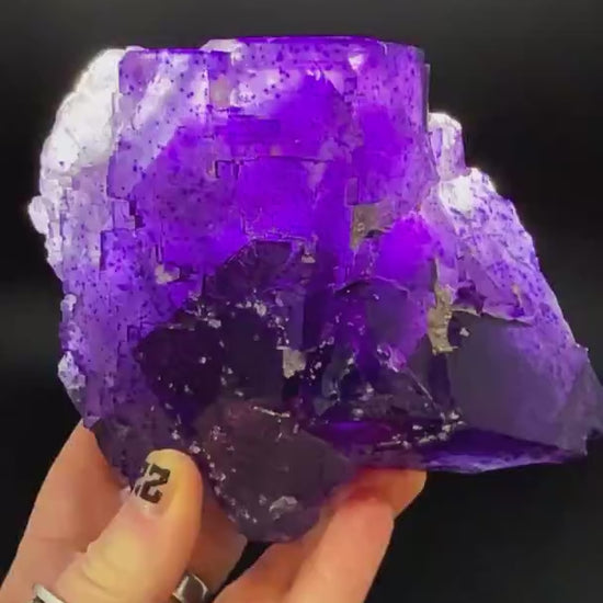 A true Illinois heavyweight … 1,540 grams of collector-grade fluorite from…
