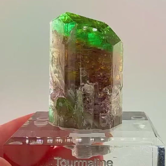 Electric color, serious weight