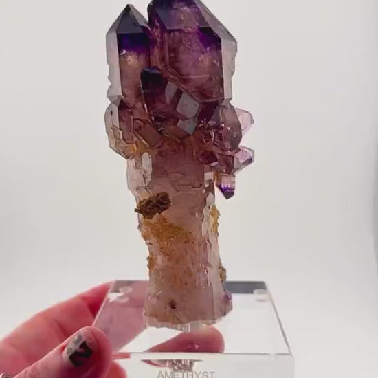 Magical Wand from the Earth’s Vault