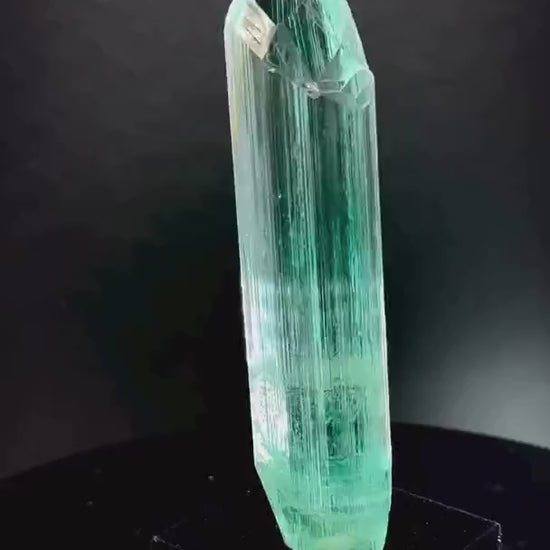 Another look at this EPIC Medina beauty