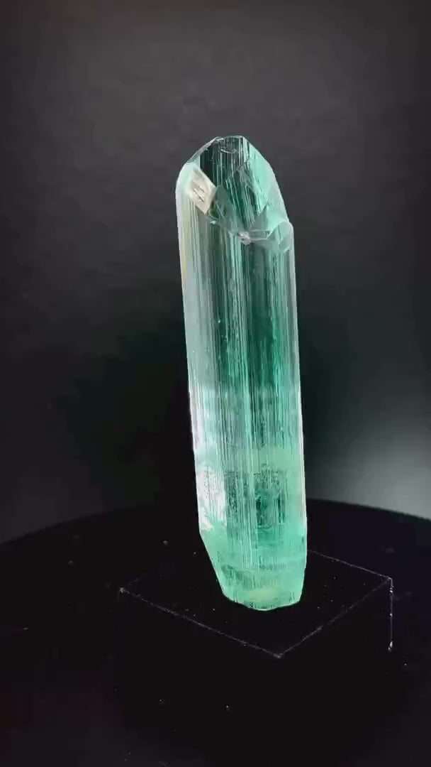 Another look at this EPIC Medina beauty