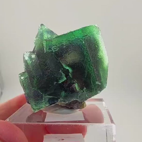YINDU MINI BANGER