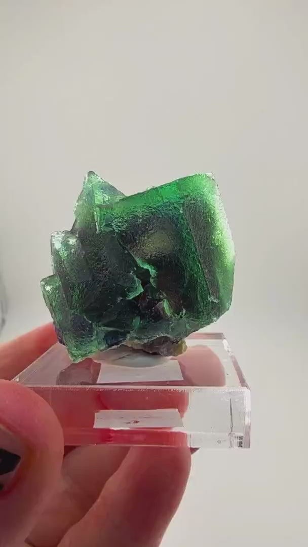 YINDU MINI BANGER