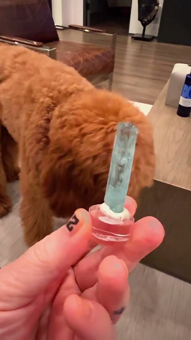 Quality control by Harley