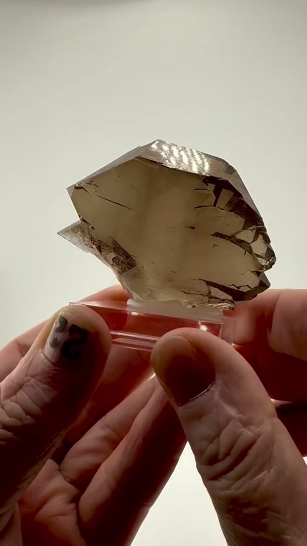 Absolute Stunner … Smoky Quartz Gwindel from Chamonix Mont Blanc, France