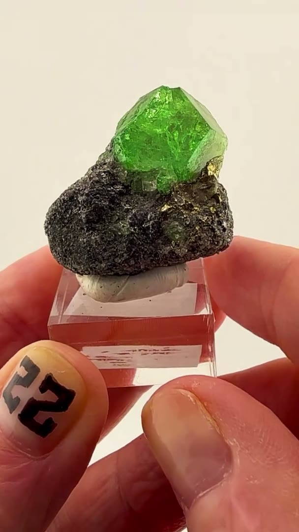 Electric green perfection